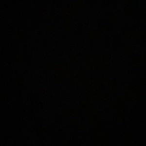 Meet your Posher, Isabel